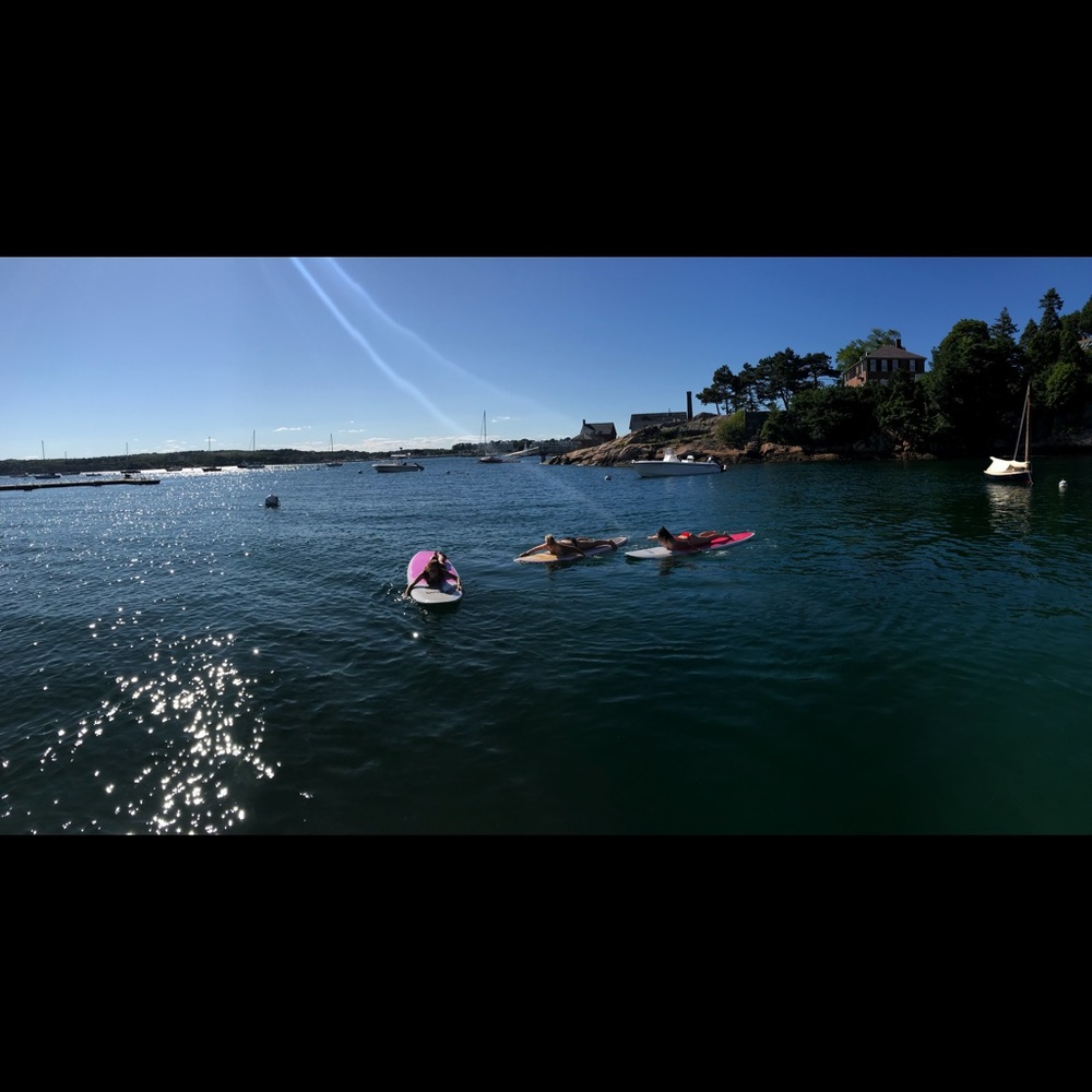 Meet your Posher, Molly